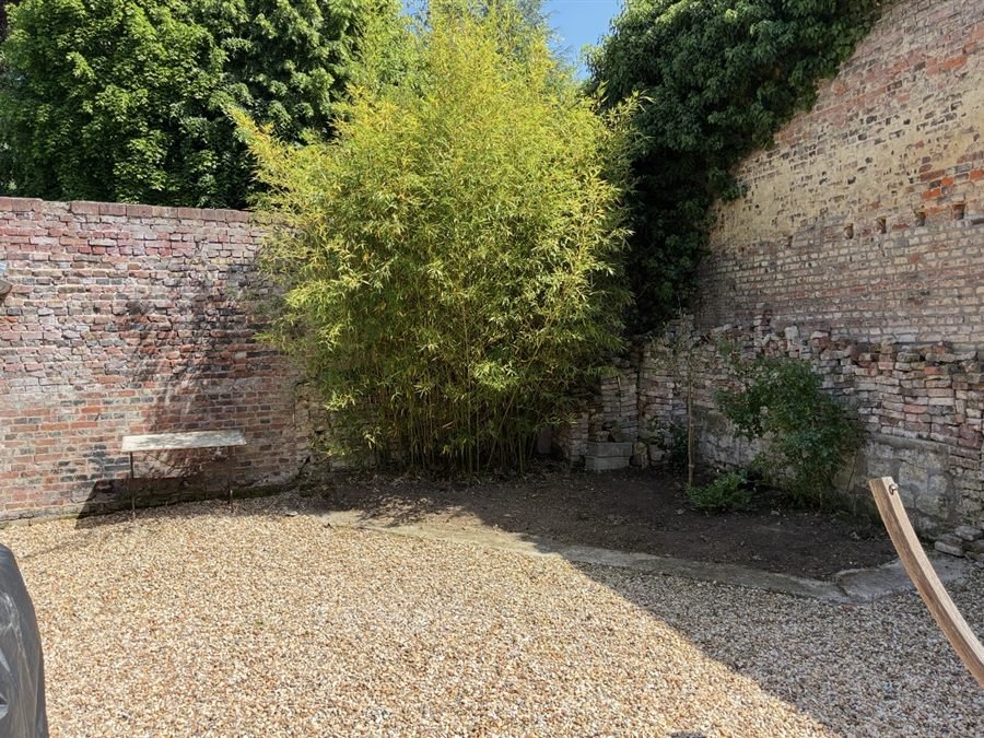 Coin de jardin aménagé en gravier avec un arbuste taillé