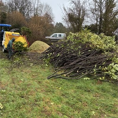 Tas de branchages prêt à être broyé